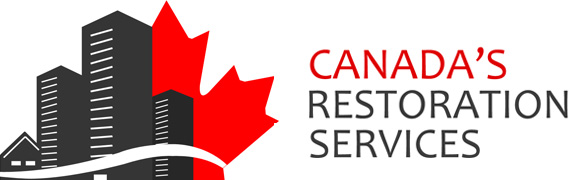 Canada's Restoration Case Study