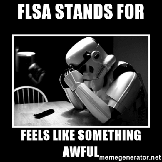 flsa stands for feels like something awful