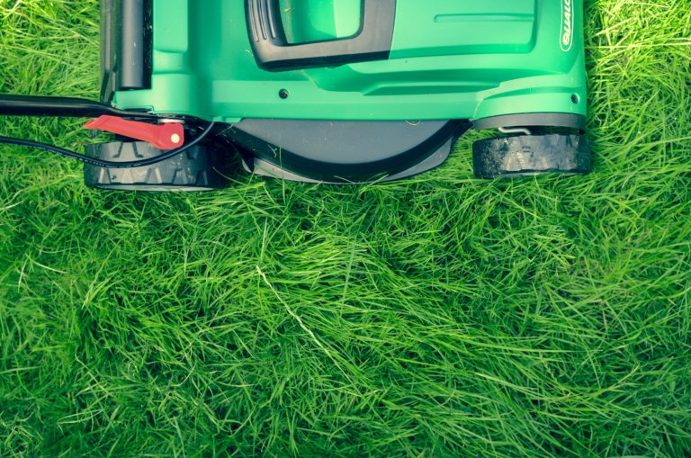 How to Start a Lawn Care Business (Dos and Don’ts)