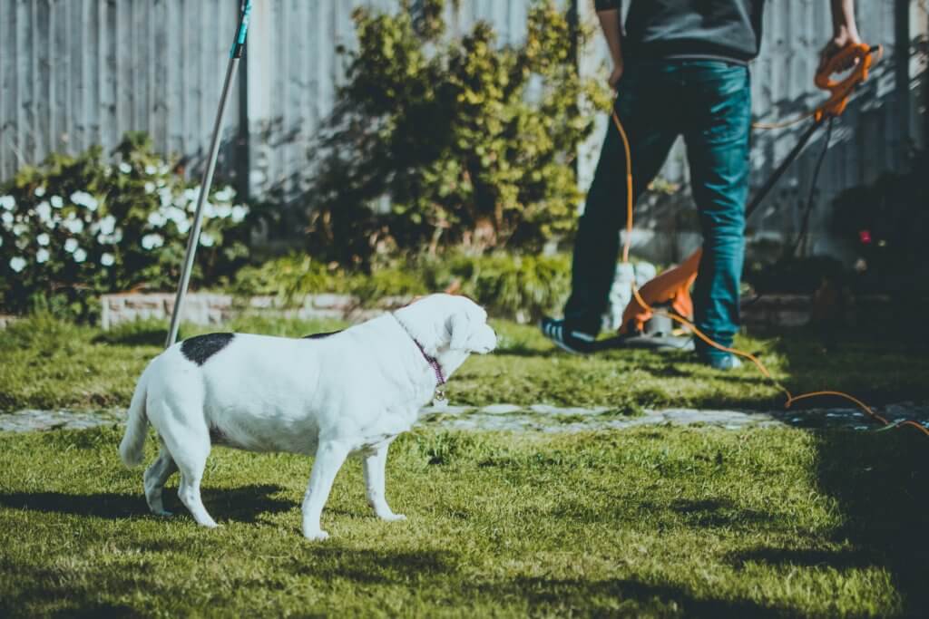 grow your lawn care business with a lawn care app