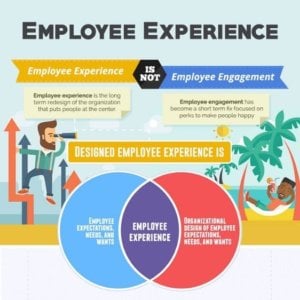 How to Curate Employee Experience at your Company in 2024