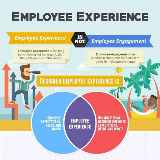 How to Curate Employee Experience at your Company in 2023