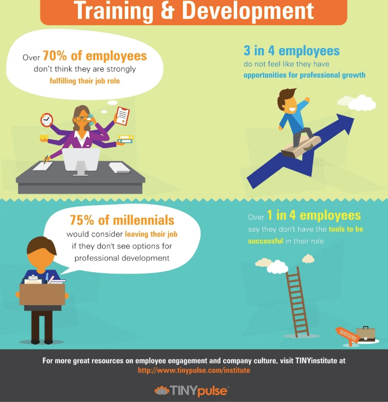 training and development infographic