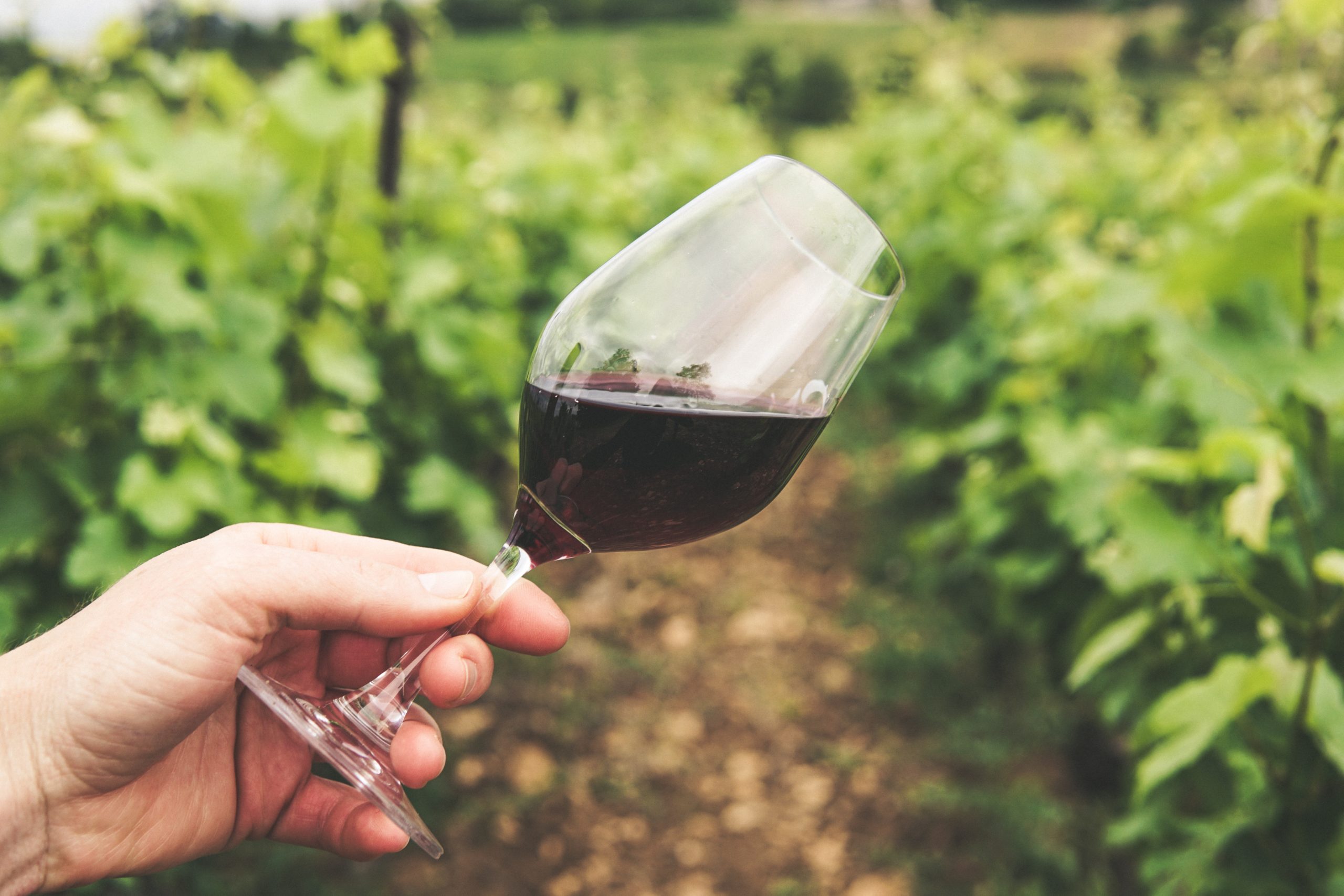 Top 9 Winery Management Software Solutions for 2024