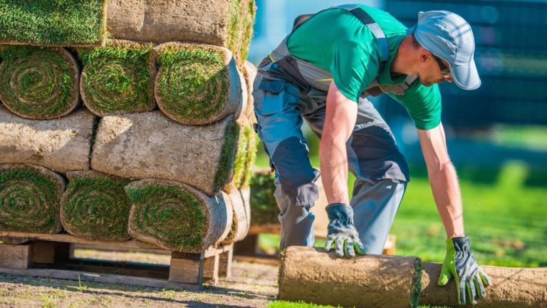 A landscaping worker rolls out rolls of turf