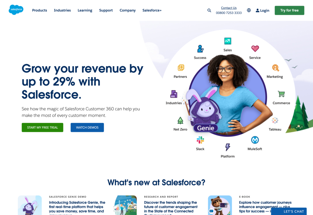 Screenshot of the Salesforce webpage