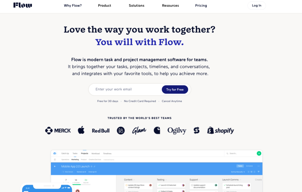 Screenshot of the Flow webpage