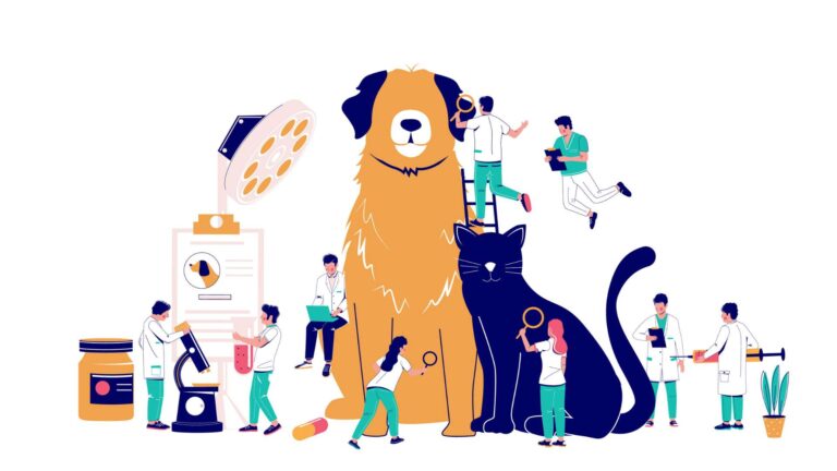 An illustration of vets and animals to illustrate veterinary practice management software