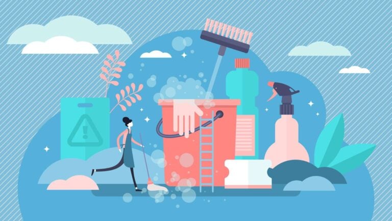 an illustration of cleaning supplies and a professional cleaner