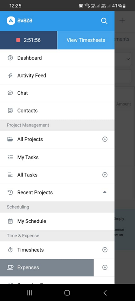 Screenshot of Avaza app managers version