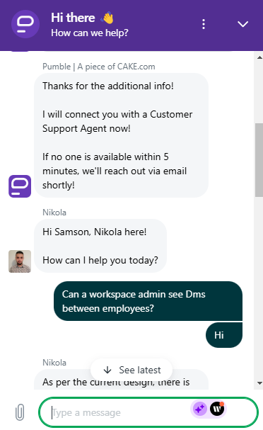 Screenshot showing Pumble live chat