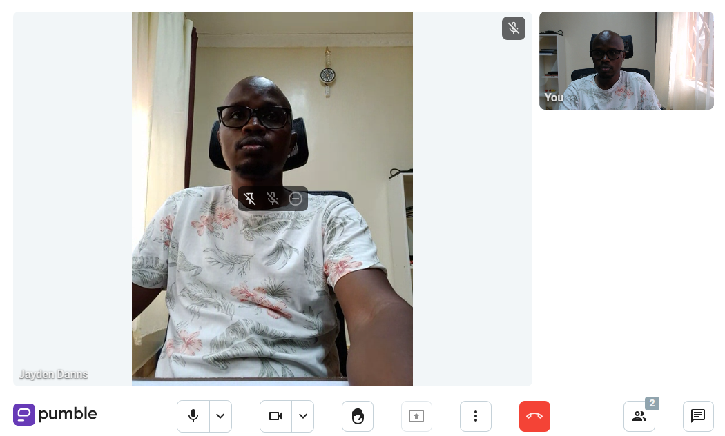 Screenshot showing Pumble video calls