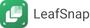 LeafSnap