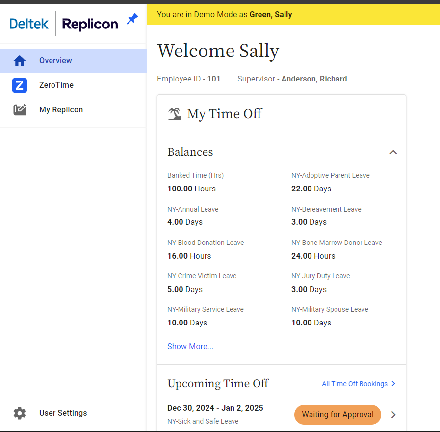 Screenshot of the Replicon web interface showing an employee's time off balances and upcoming leave details under various categories.