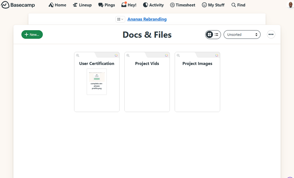 Screenshot showing the Docs & Files page