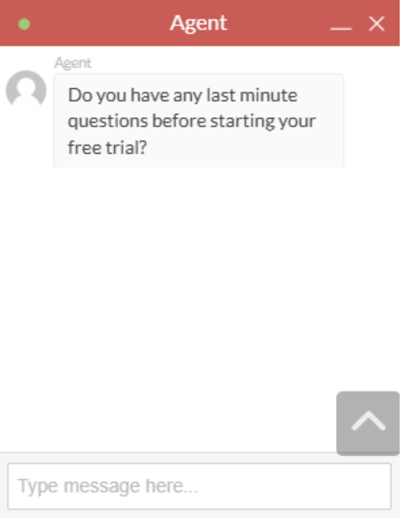 Screenshot of live chat function