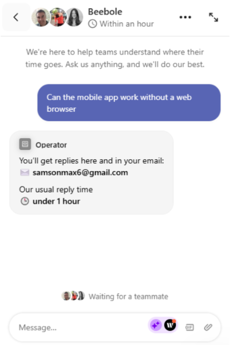 Screenshot showing the Beebole live chat tool