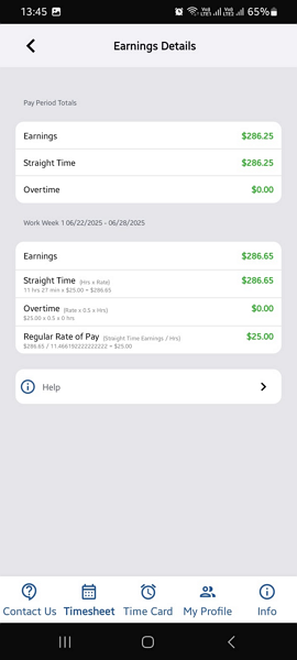 Screenshot showing an employee’s earning summary.
