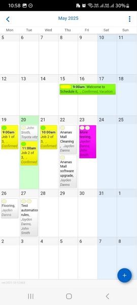 Screenshot showing the month view on mobile. 