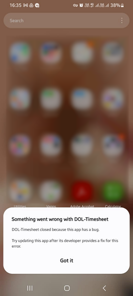 Screenshot showing DOL-Timesheet bug error message.