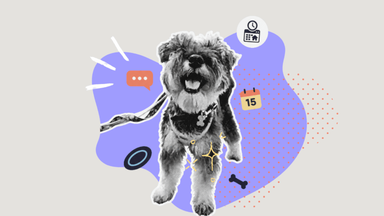 Dog Daycare Software Featured Image