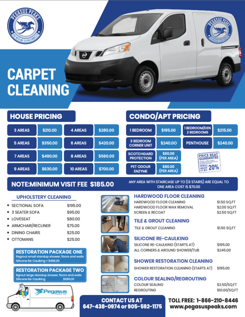 Carpet cleaning flyer example with a clear list of services.