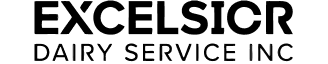excelsicr logo