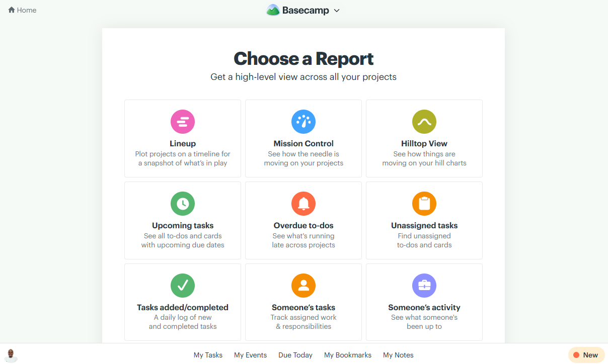 Screenshot showing Basecamp report page.